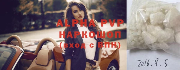 крисы Гусев
