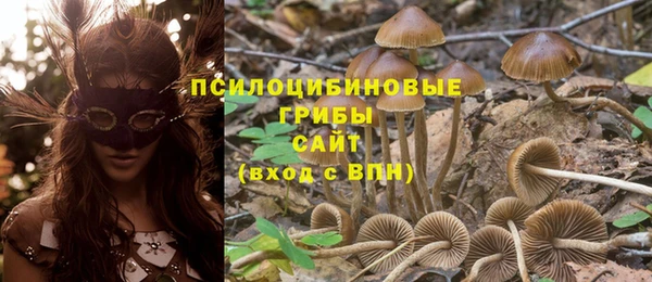 соль курить ск Гусиноозёрск