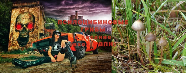 соль курить ск Гусиноозёрск